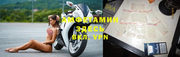 сатива Аркадак