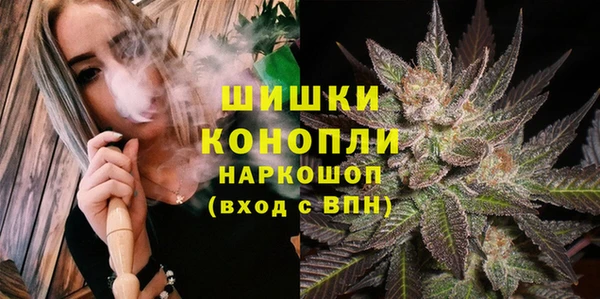 сатива Аркадак