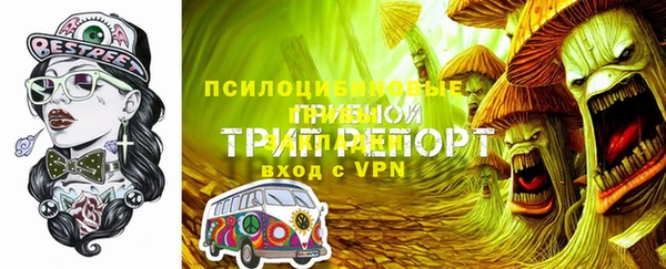 сатива Аркадак