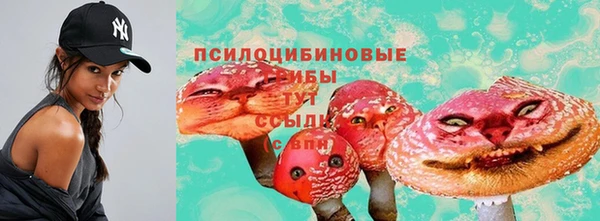 сатива Аркадак