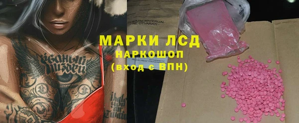 сатива Аркадак