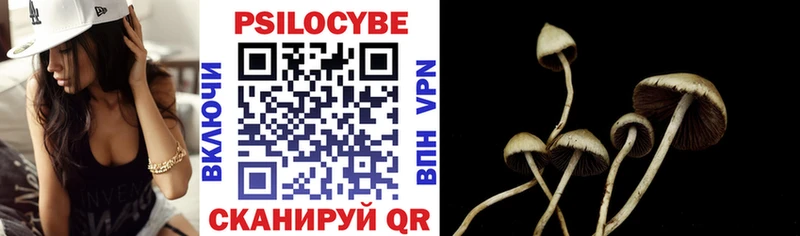 Галлюциногенные грибы Magic Shrooms  где купить наркоту  мега зеркало  Лаишево 